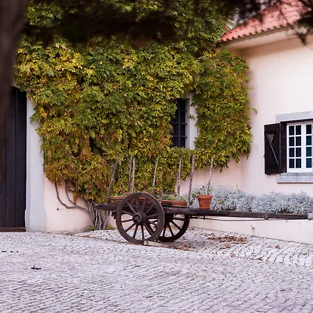 昆塔多科瓦克酒店 3* 阿伦克尔