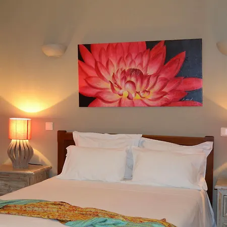 Quinta Do Covanco Affittacamere 3*
